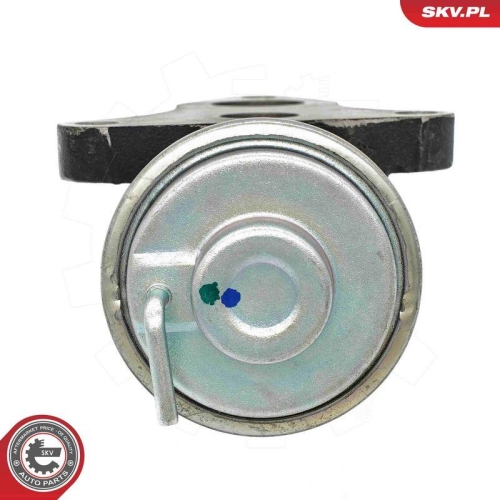 ESEN SKV AGR-Ventil 14SKV263