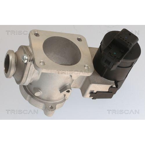 TRISCAN AGR-Ventil 8813 11020