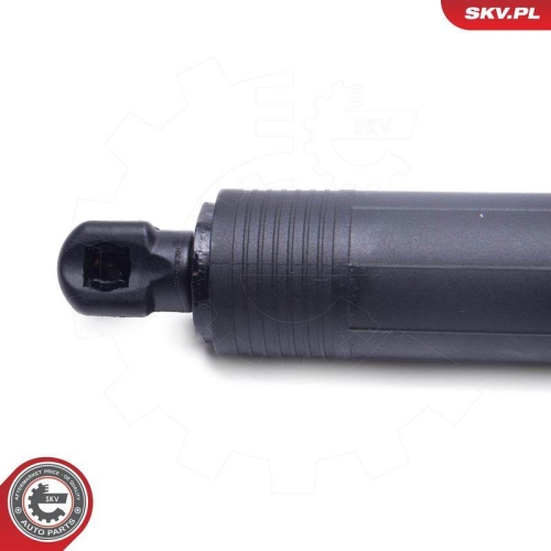 ESEN SKV Elektromotor, Heckklappe 52SKV967