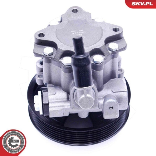 ESEN SKV Hydraulikpumpe, Lenkung 10SKV241