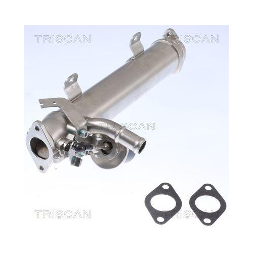TRISCAN Kühler, Abgasrückführung 8813 29322