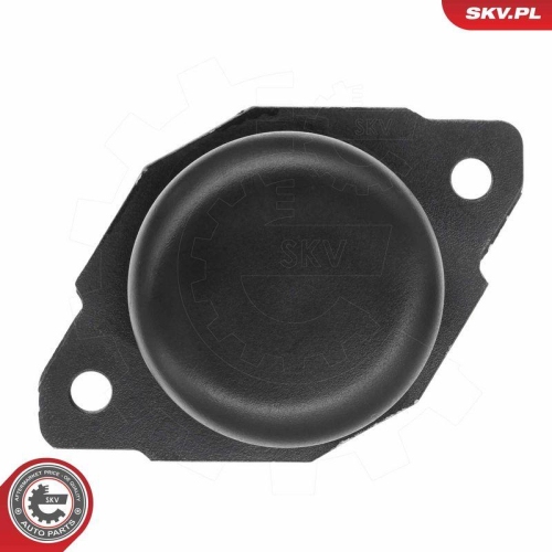 ESEN SKV Lagerung, Motor 75SKV115
