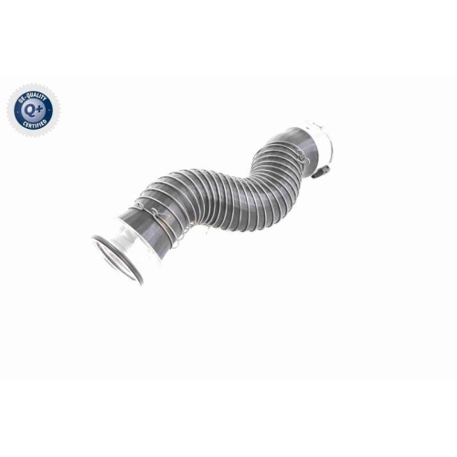 VAICO Ladeluftschlauch Q+, Erstausrüsterqualität V20-3251