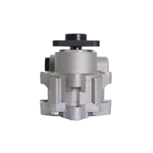 LAUBER Hydraulikpumpe, Lenkung 55.5267