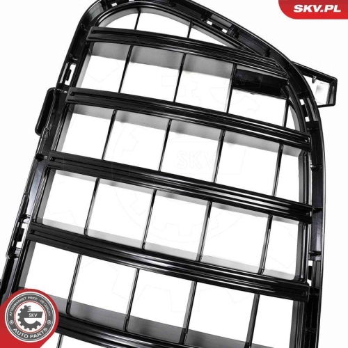 ESEN SKV Kühlergitter