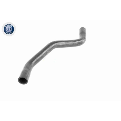 VAICO K&uuml;hlerschlauch Q+, Erstausr&uuml;sterqualit&auml;t V46-0915