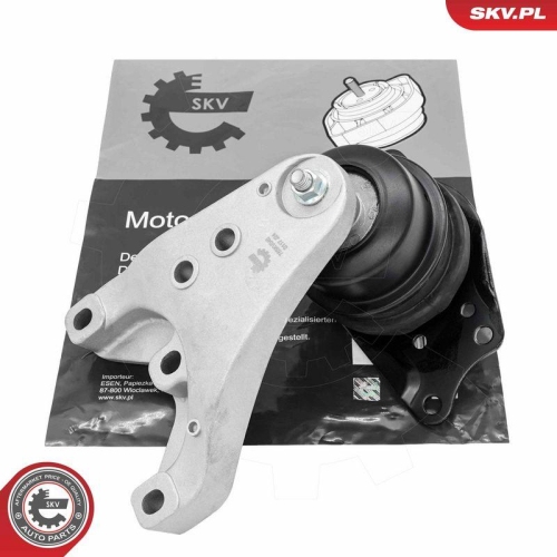 ESEN SKV Lagerung, Motor 75SKV046