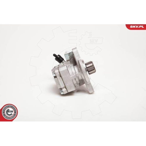 ESEN SKV Hydraulikpumpe, Lenkung