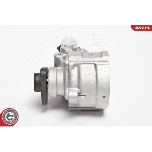 ESEN SKV Hydraulikpumpe, Lenkung