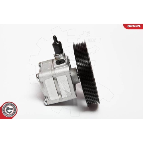 ESEN SKV Hydraulikpumpe, Lenkung