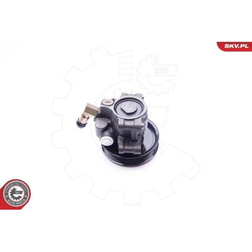 ESEN SKV Hydraulikpumpe, Lenkung