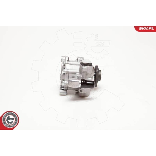 ESEN SKV Hydraulikpumpe, Lenkung