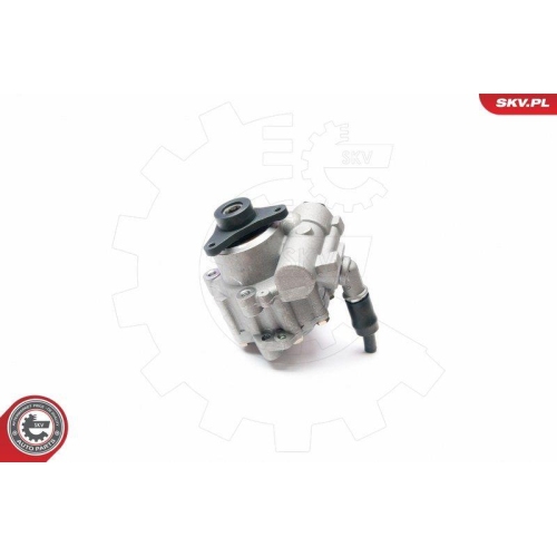 ESEN SKV Hydraulikpumpe, Lenkung