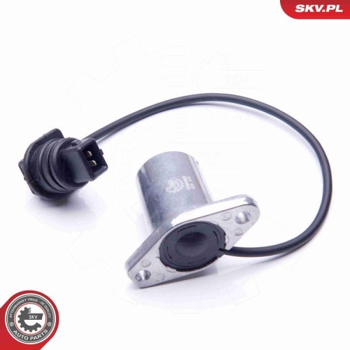 ESEN SKV Sensor, Motor&ouml;lstand 17SKV407