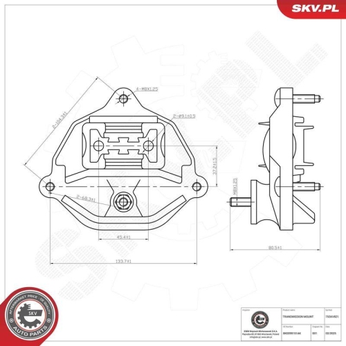 ESEN SKV Lagerung, Automatikgetriebe 75SKV821
