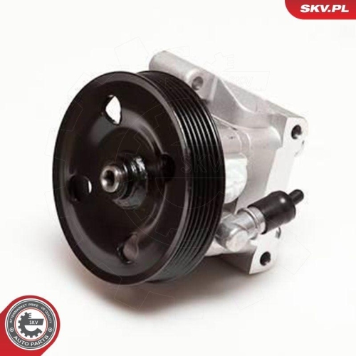 ESEN SKV Hydraulikpumpe, Lenkung 10SKV001