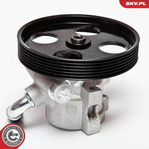 ESEN SKV Hydraulikpumpe, Lenkung 10SKV002