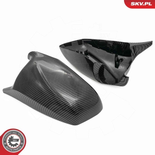 ESEN SKV Abdeckung, Außenspiegel