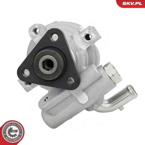 ESEN SKV Hydraulikpumpe, Lenkung 10SKV003