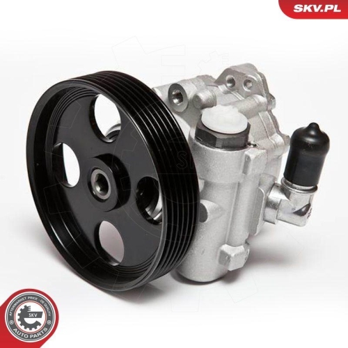 ESEN SKV Hydraulikpumpe, Lenkung 10SKV004