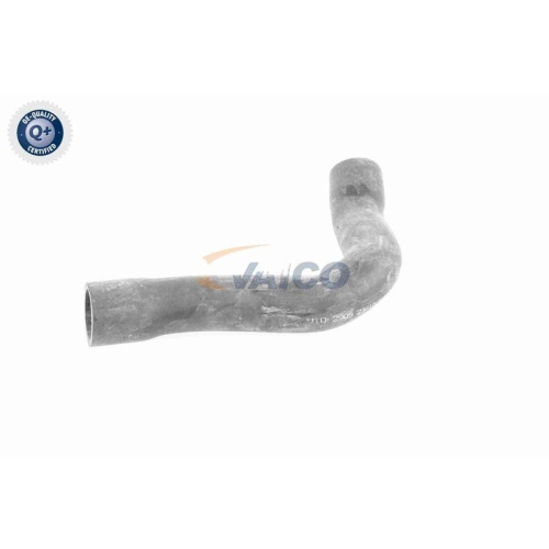 VAICO Ladeluftschlauch Q+, Erstausrüsterqualität V10-2909