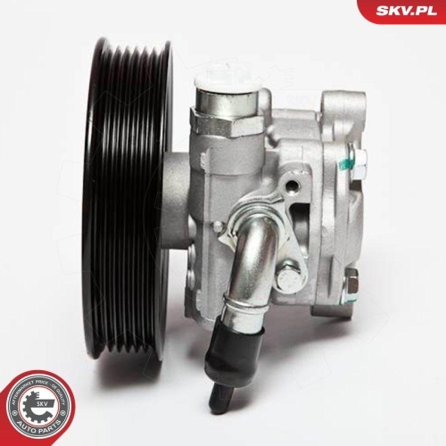 ESEN SKV Hydraulikpumpe, Lenkung 10SKV006