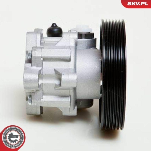 ESEN SKV Hydraulikpumpe, Lenkung 10SKV009