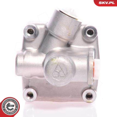 ESEN SKV Hydraulikpumpe, Lenkung 10SKV011
