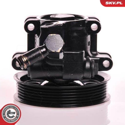 ESEN SKV Hydraulikpumpe, Lenkung 10SKV019