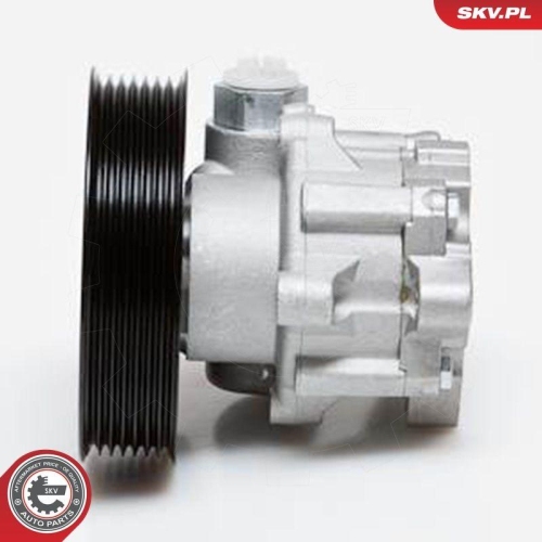 ESEN SKV Hydraulikpumpe, Lenkung 10SKV024
