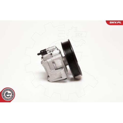 ESEN SKV Hydraulikpumpe, Lenkung