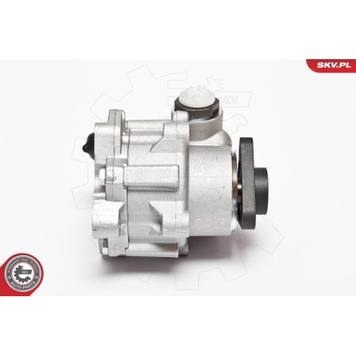 ESEN SKV Hydraulikpumpe, Lenkung