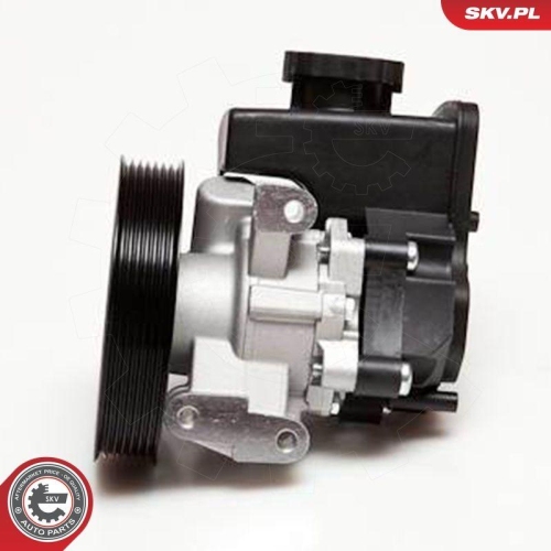 ESEN SKV Hydraulikpumpe, Lenkung 10SKV029