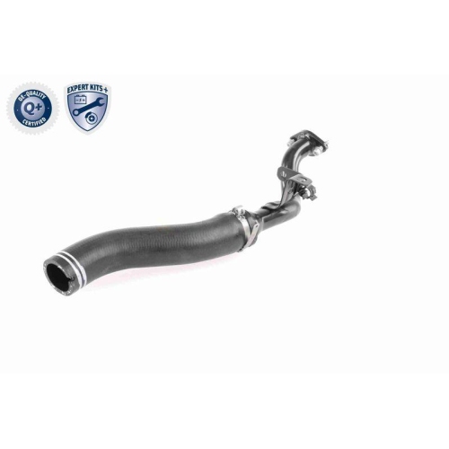 VAICO Ladeluftschlauch EXPERT KITS + V24-0722