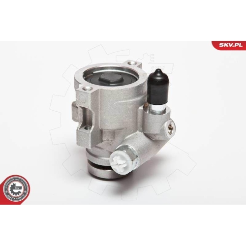 ESEN SKV Hydraulikpumpe, Lenkung