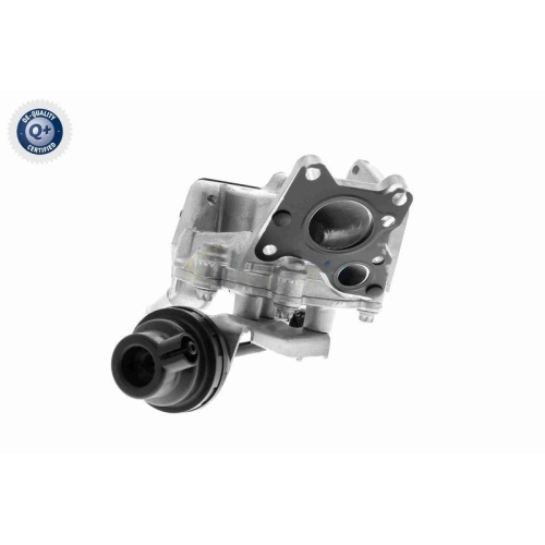 VEMO AGR-Ventil Green Mobility Parts V30-63-0080