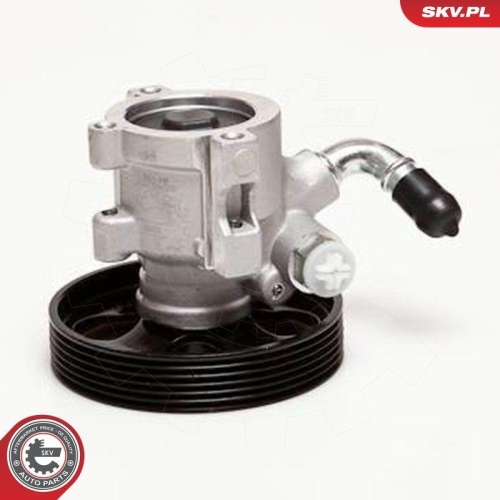 ESEN SKV Hydraulikpumpe, Lenkung 10SKV031