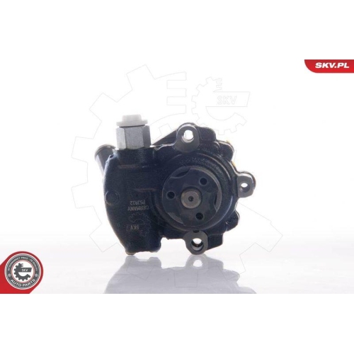 ESEN SKV Hydraulikpumpe, Lenkung