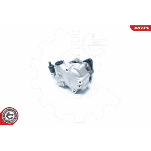 ESEN SKV Hydraulikpumpe, Lenkung