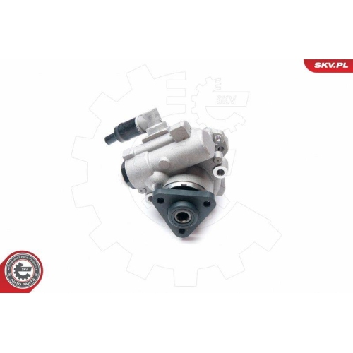 ESEN SKV Hydraulikpumpe, Lenkung