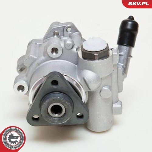 ESEN SKV Hydraulikpumpe, Lenkung 10SKV048