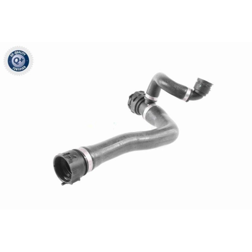 VAICO Kühlerschlauch Q+, Erstausrüsterqualität V20-2895