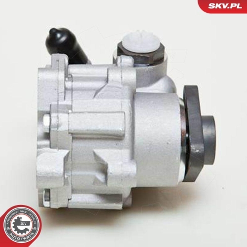 ESEN SKV Hydraulikpumpe, Lenkung 10SKV049