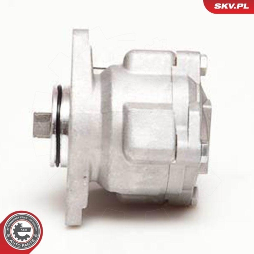 ESEN SKV Hydraulikpumpe, Lenkung 10SKV051