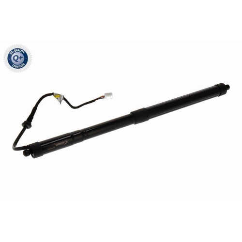 ACKOJA Elektromotor, Heckklappe Green Mobility Parts A70-55-0012