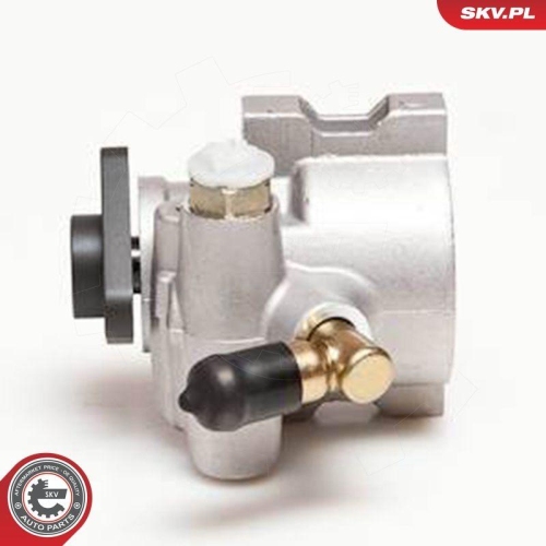 ESEN SKV Hydraulikpumpe, Lenkung 10SKV053