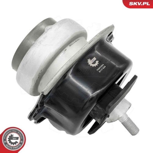 ESEN SKV Lagerung, Motor 75SKV254