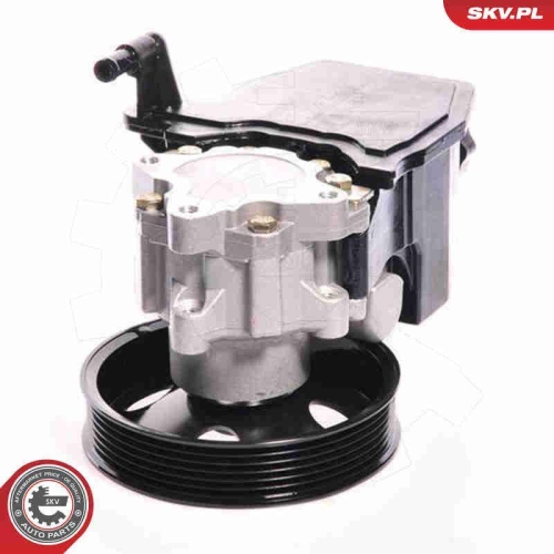 ESEN SKV Hydraulikpumpe, Lenkung 10SKV139