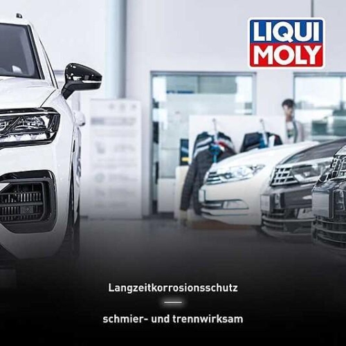 Bremsenpaste LIQUI MOLY 3080 Kupferpaste Kupfer-Paste Montage Bremse Fett 100g