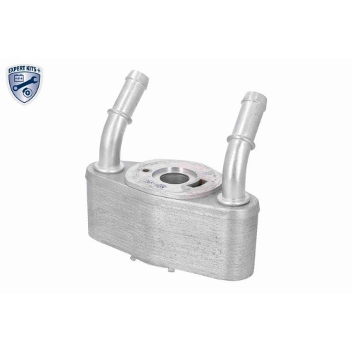 VEMO Ölkühler, Motoröl EXPERT KITS + V25-60-0065